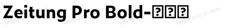 Zeitung Pro Bold字体转换